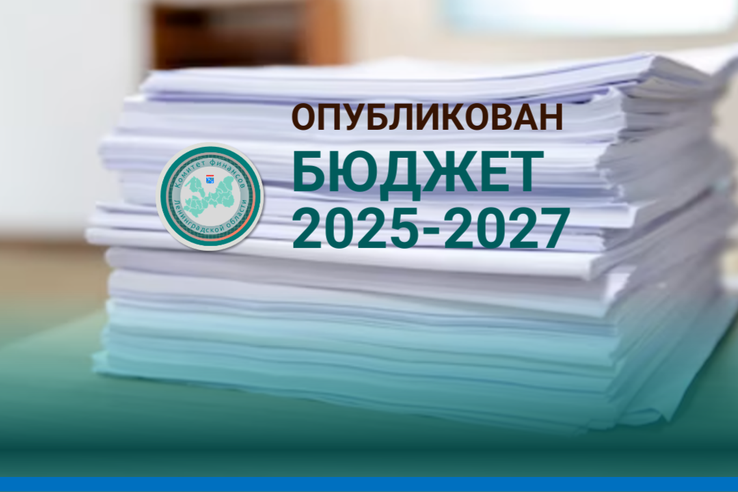 Опубликован закон о бюджете региона