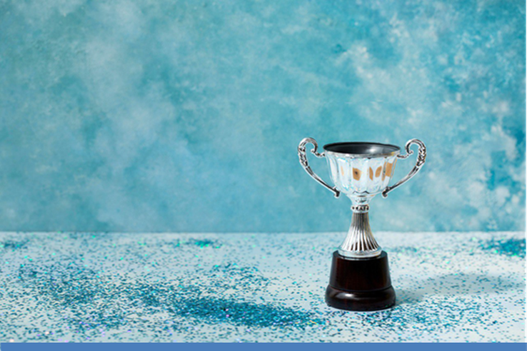 Достижения в области деятельности - 2025 год